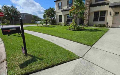 Photo of Virginia R.'s yard after getting lawn care in Doctor Phillips, FL