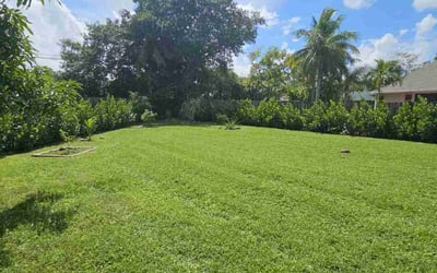 Photo of Megan K.'s yard after getting lawn care in Pompano Beach, FL