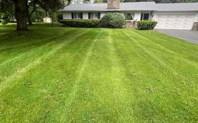 Photo of Michelle H.'s yard after getting lawn care in Pittsford, NY