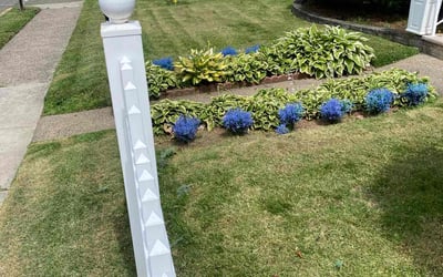 Photo of Melissa G.'s yard after getting lawn care in Lodi, NJ