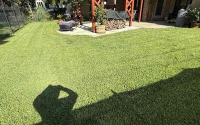Photo of Sharon P.'s yard after getting lawn care in Phoenixville, PA