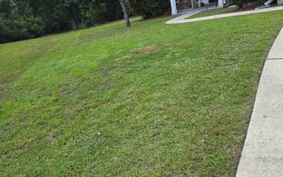 Photo of Jonathan O.'s yard after getting lawn care in Vacaville, CA