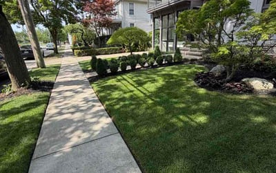 Photo of Jaqueez W.'s yard after getting lawn care in Jacksonville, FL