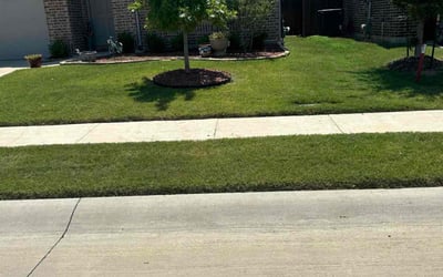Photo of Rhonda K.'s yard after getting lawn care in Alvarado, TX