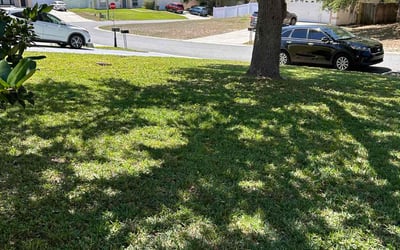Photo of Eddy W.'s yard after getting lawn care in Davenport, FL