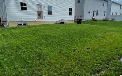 Photo of Tamika A.'s yard after getting lawn care in Springfield, OH