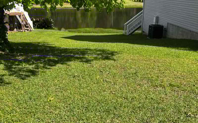 Photo of Marie S.'s yard after getting lawn care in Columbia, SC