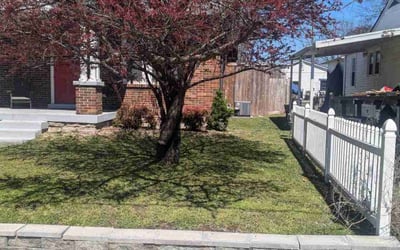 Photo of Chery K.'s yard after getting lawn care in Bethpage, TN