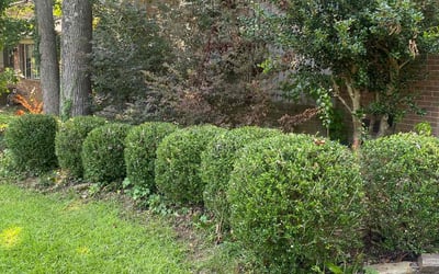 Photo of Jacque F.'s yard after getting lawn care in Kingston, MA