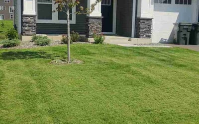 Photo of Faisal I.'s yard after getting lawn care in Rosemount, MN