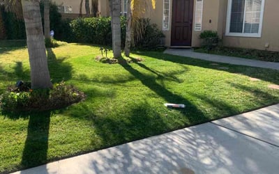 Photo of Brandon C.'s yard after getting lawn care in Riverside, CA