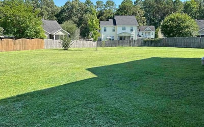 Photo of Amy H.'s yard after getting lawn care in Laurens, SC