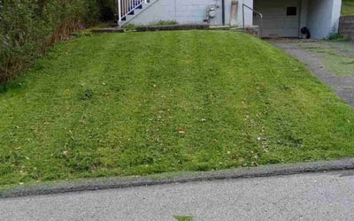 Photo of Lisa H.'s yard after getting lawn care in Youngstown, PA