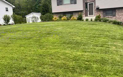 Photo of Tara K.'s yard after getting lawn care in Lancaster, OH