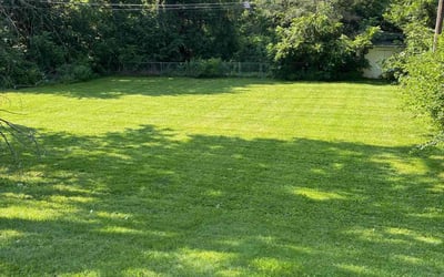 Photo of Marshall E.'s yard after getting lawn care in Allison Park, PA