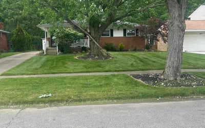 Photo of James B.'s yard after getting lawn care in Elyria, OH