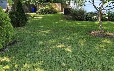 Photo of Essie C.'s yard after getting lawn care in Leavenworth, KS