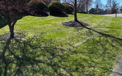 Photo of Dorothy E.'s yard after getting lawn care in Oakdale, PA