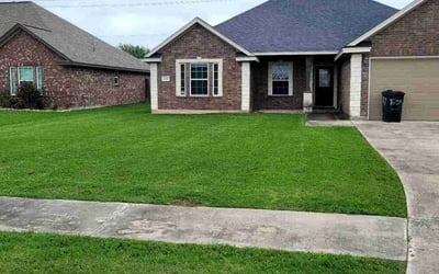 Photo of Luay A.'s yard after getting lawn care in Channelview, TX