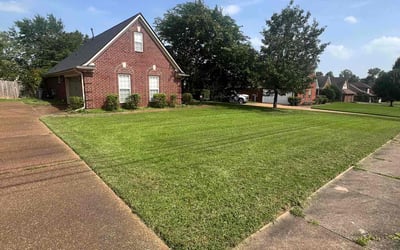Photo of Tiffany W.'s yard after getting lawn care in Cordova, TN