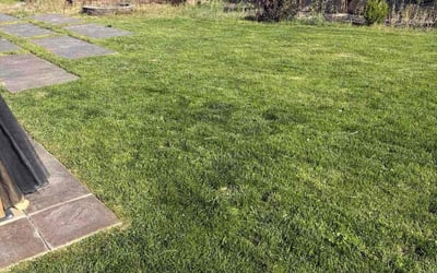 Photo of Jatin P.'s yard after getting lawn care in Elkridge, MD