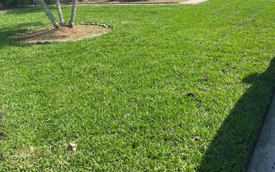 Photo of Phillip B.'s yard after getting lawn care in Glenville, NY
