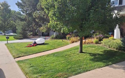 Photo of Leeanne R.'s yard after getting lawn care in Centennial, CO