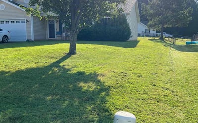 Photo of Christopher C.'s yard after getting lawn care in Greenbelt, MD