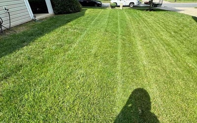 Photo of Kimberly M.'s yard after getting lawn care in Brighton, MI