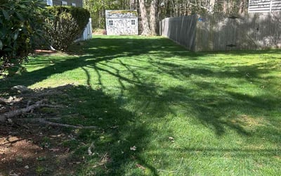 Photo of Karen M.'s yard after getting lawn care in West Warwick, RI