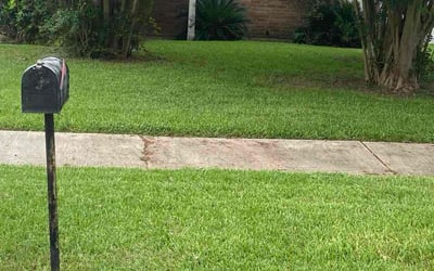 Photo of Susan S.'s yard after getting lawn care in Benicia, CA