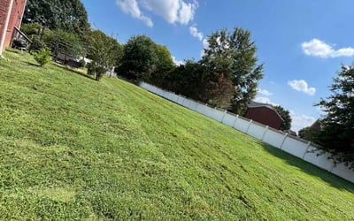 Photo of Talishia C.'s yard after getting lawn care in Dekalb, IL
