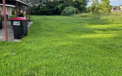 Photo of Carl D.'s yard after getting lawn care in Medford, MA