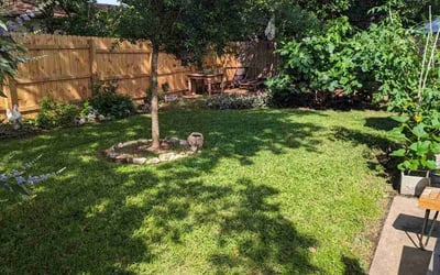 Photo of Kat M.'s yard after getting lawn care in Parlin, NJ