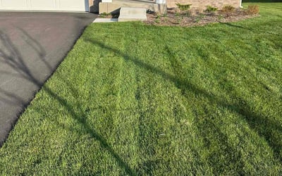 Photo of Nikki E.'s yard after getting lawn care in Plainfield, IL