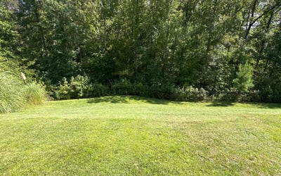 Photo of Kieth M.'s yard after getting lawn care in Savannah, GA