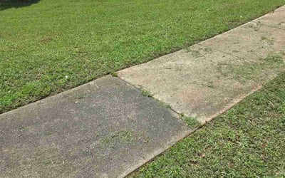 Photo of Troy E.'s yard after getting lawn care in Marysville, OH