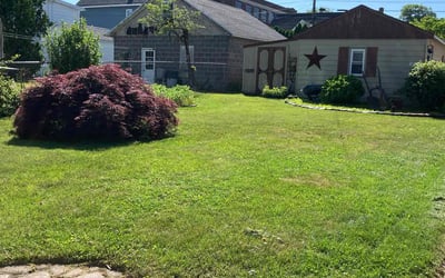 Photo of Mark K.'s yard after getting lawn care in Scranton, PA