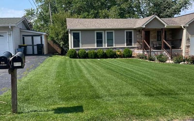 Photo of Jannette P.'s yard after getting lawn care in La Grange Park, IL