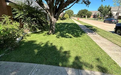 Photo of Vanessa P.'s yard after getting lawn care in Channelview, TX