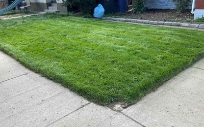 Photo of Ray U.'s yard after getting lawn care in Greenwood Village, CO