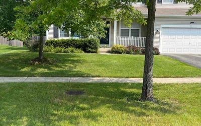 Photo of Kim H.'s yard after getting lawn care in Round Lake, IL