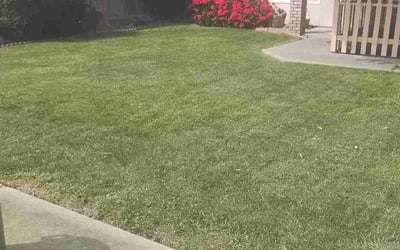 Photo of Skye N.'s yard after getting lawn care in Oakdale, CA