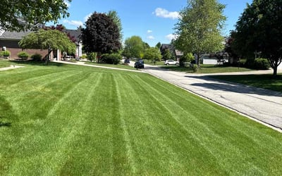 Photo of Pamela M.'s yard after getting lawn care in Lafayette, IN