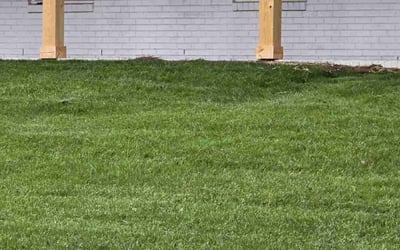Photo of Tiffany H.'s yard after getting lawn care in Ringgold, GA