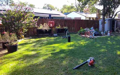 Photo of Tyrone S.'s yard after getting lawn care in Temple, TX