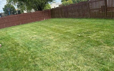 Photo of Darlene S.'s yard after getting lawn care in Fishers, IN