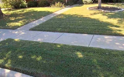 Photo of Joann C.'s yard after getting lawn care in Denton, TX