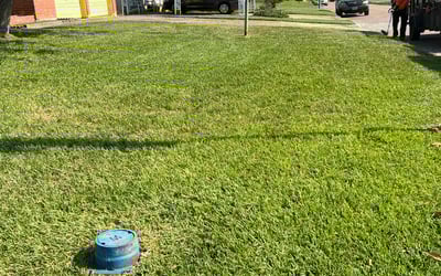 Photo of Quinn D.'s yard after getting lawn care in Houston, TX