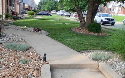 Photo of Camela N.'s yard after getting lawn care in Hickory, NC